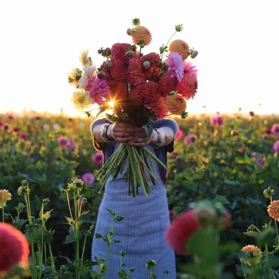 518286266_1262341331922891_4694453773232255551_n