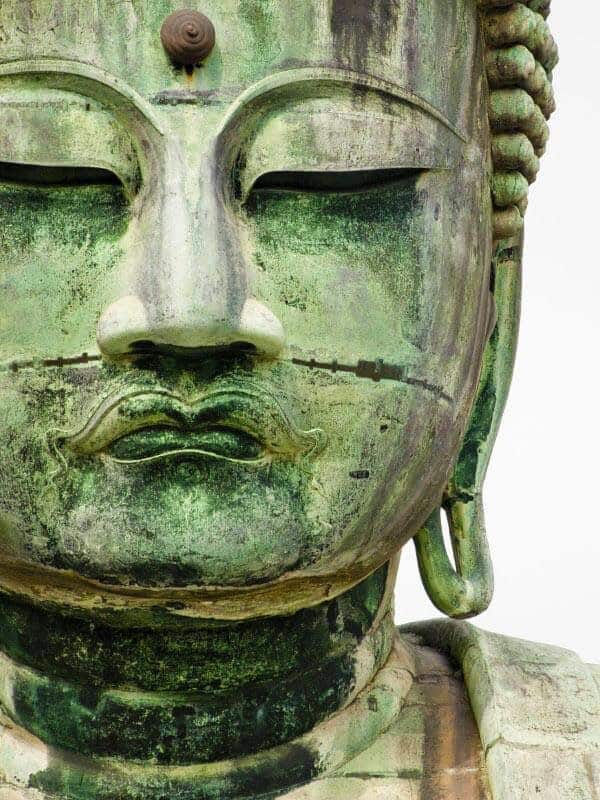 518286266_1262341331922891_4694453773232255551_n