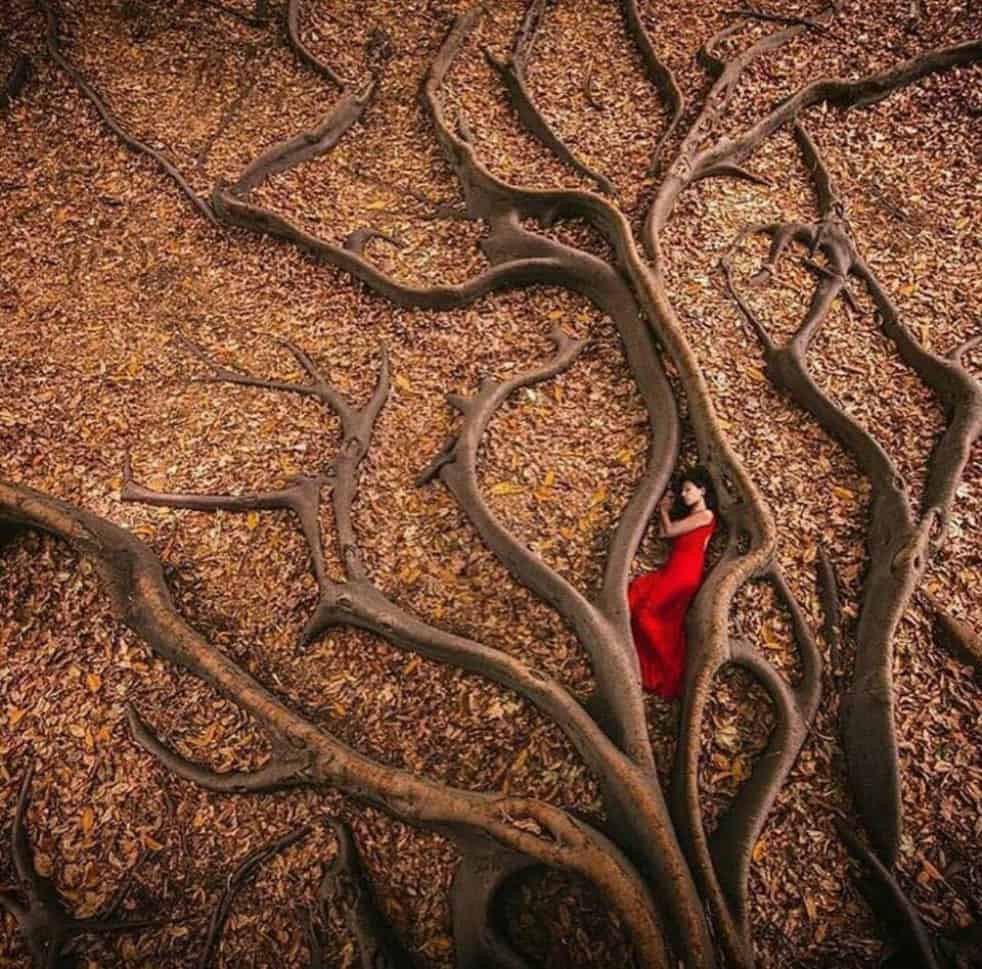 518286266_1262341331922891_4694453773232255551_n