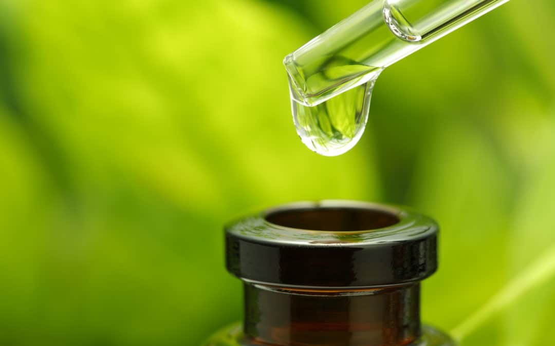Terapia Floral – Você sabia que as flores podem fazer muito por você?