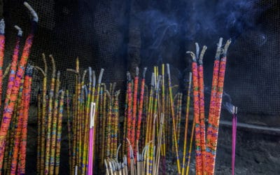 O Céu da Semana –  O Oráculo Chinês