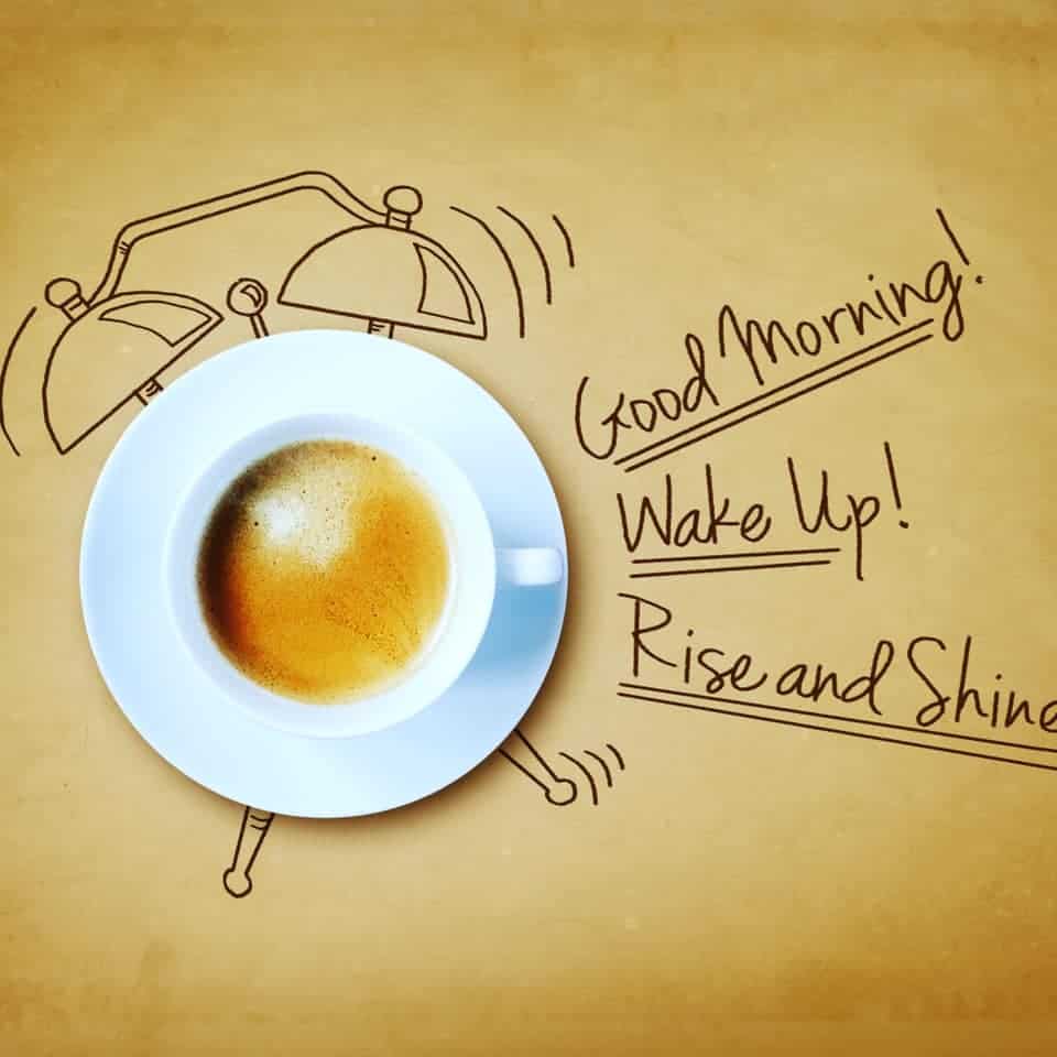 518286266_1262341331922891_4694453773232255551_n