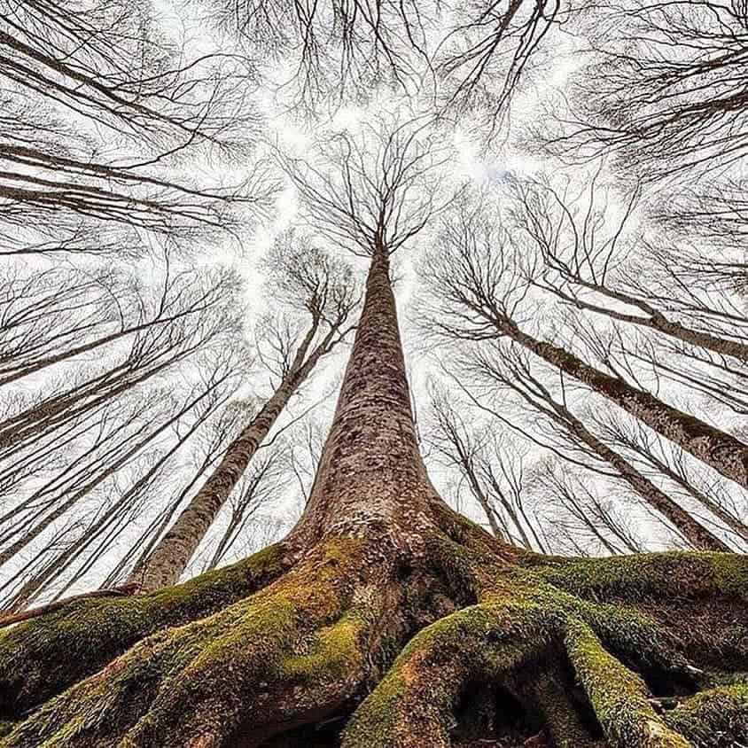 518286266_1262341331922891_4694453773232255551_n