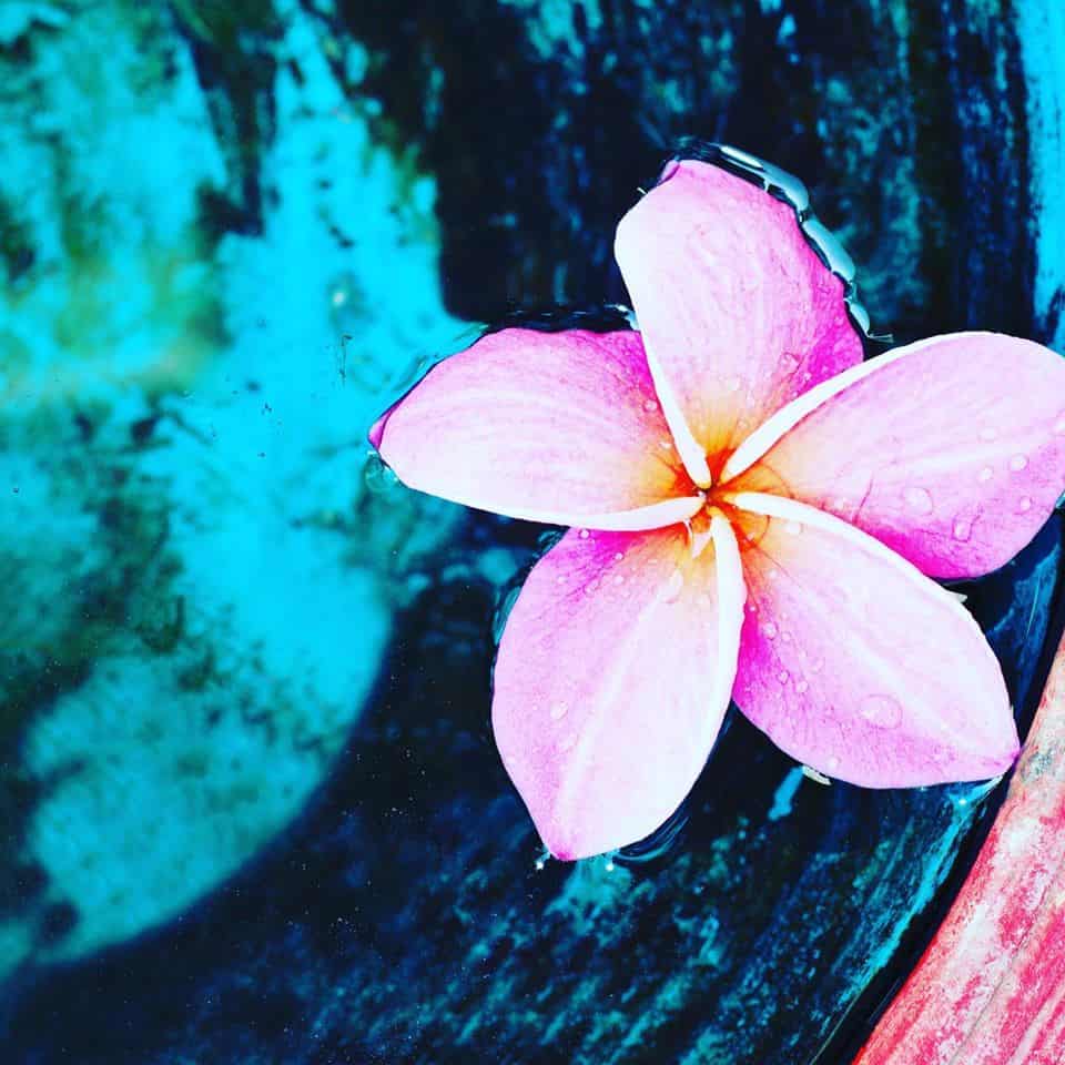 518286266_1262341331922891_4694453773232255551_n