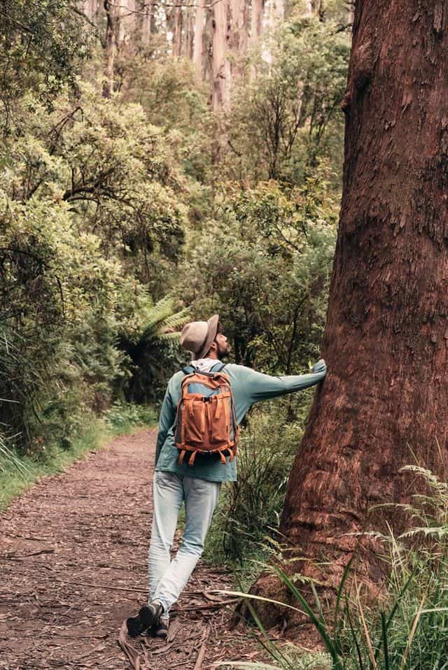 518286266_1262341331922891_4694453773232255551_n