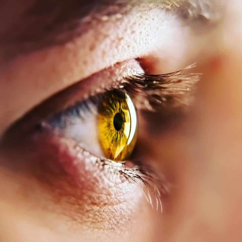 518286266_1262341331922891_4694453773232255551_n