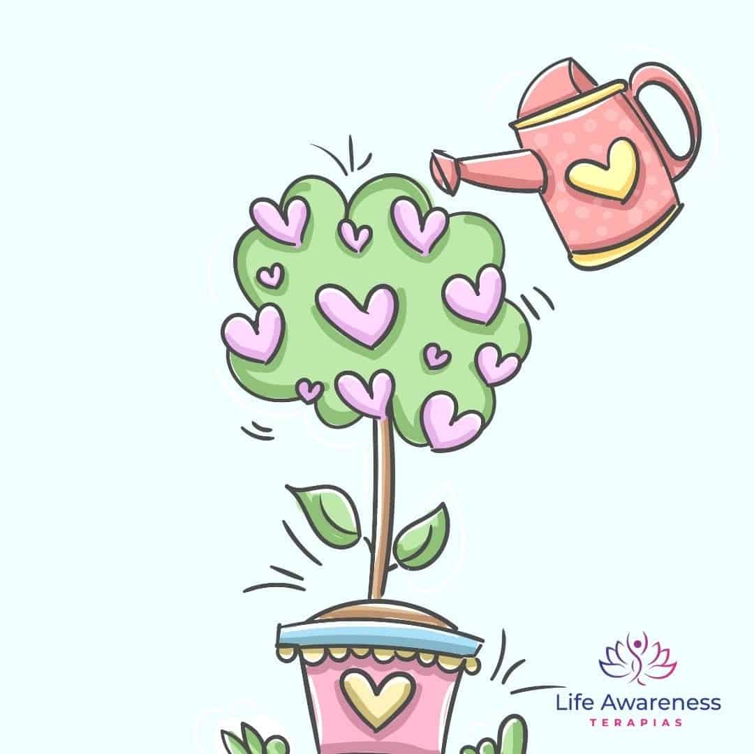 518286266_1262341331922891_4694453773232255551_n