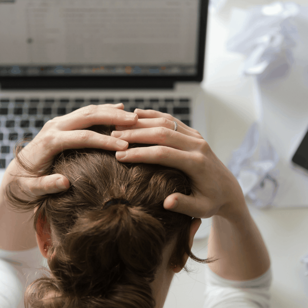 518286266_1262341331922891_4694453773232255551_n