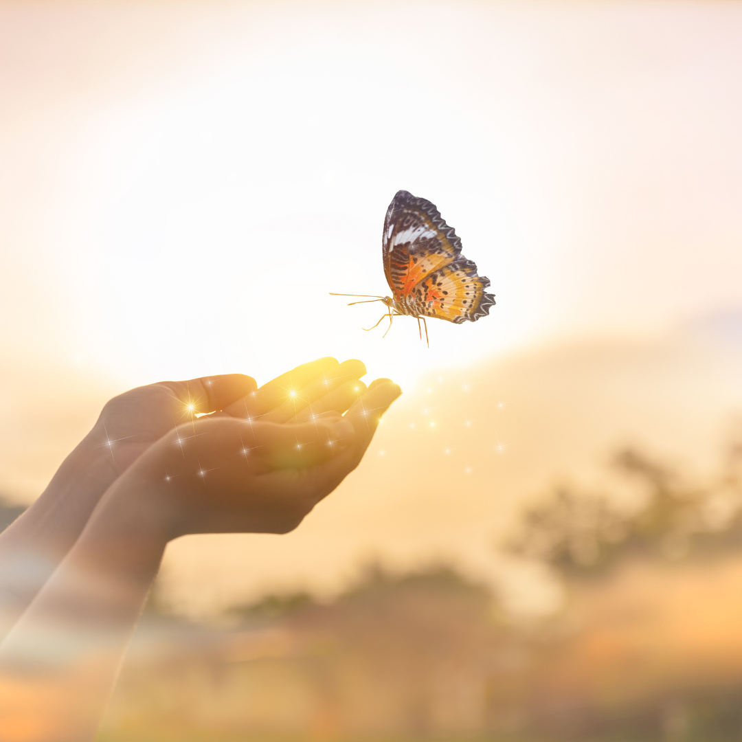 518286266_1262341331922891_4694453773232255551_n