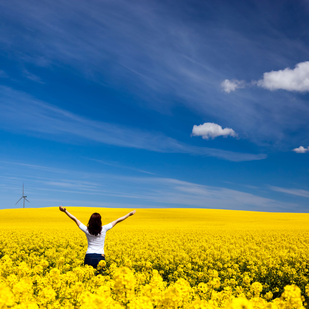 518286266_1262341331922891_4694453773232255551_n