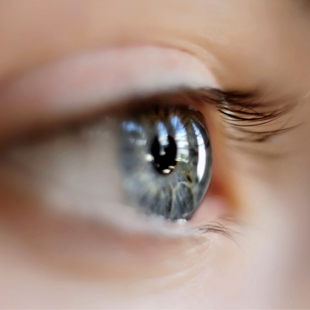 518286266_1262341331922891_4694453773232255551_n