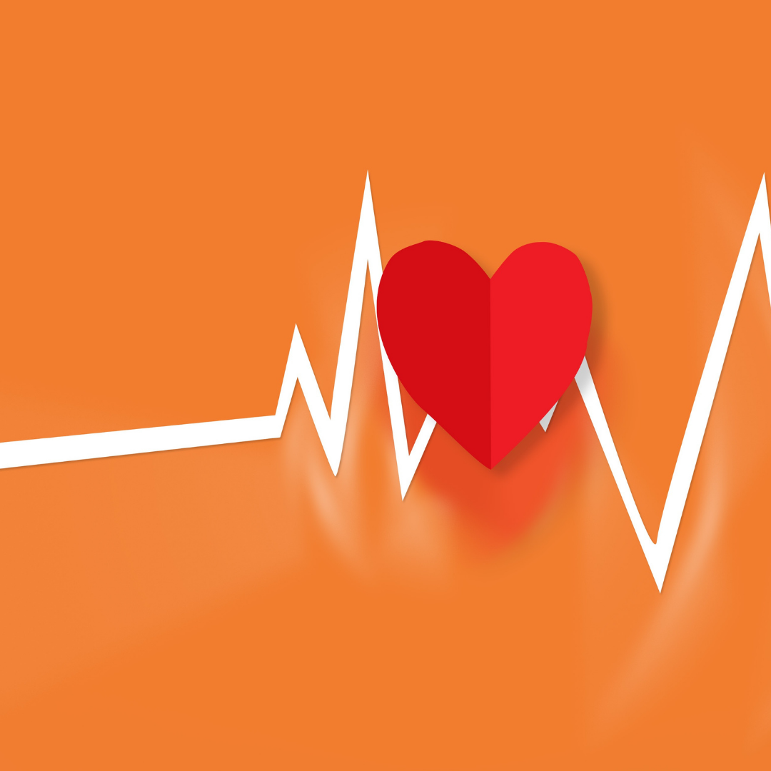 518286266_1262341331922891_4694453773232255551_n