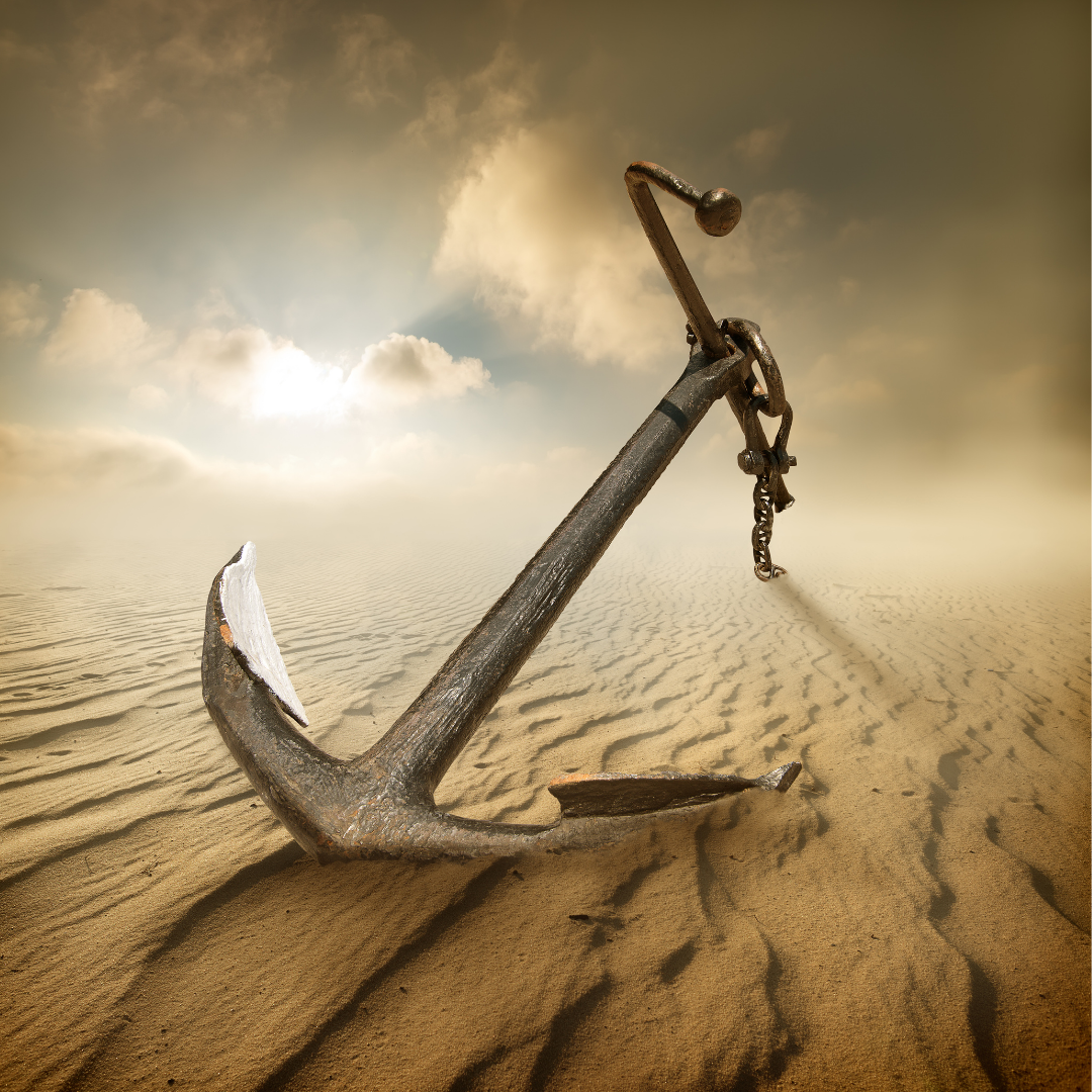 518286266_1262341331922891_4694453773232255551_n