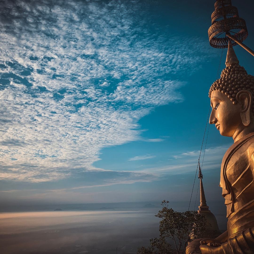 518286266_1262341331922891_4694453773232255551_n