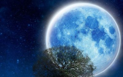 Astrology  – Ilumina