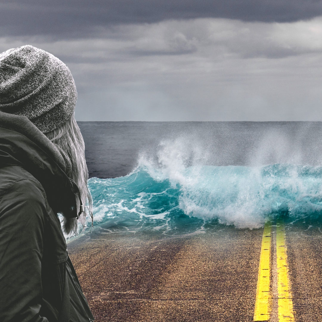 518286266_1262341331922891_4694453773232255551_n