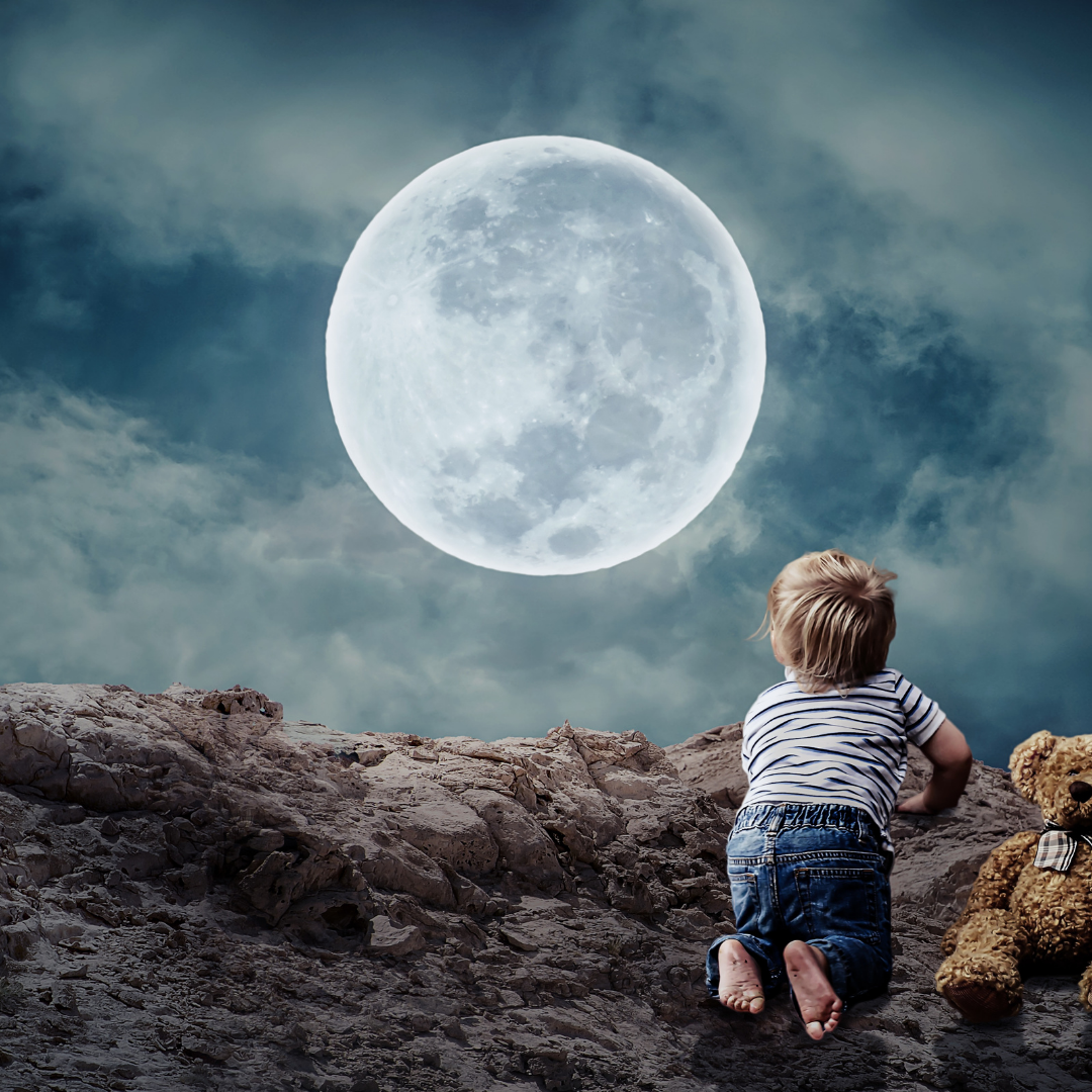 518286266_1262341331922891_4694453773232255551_n