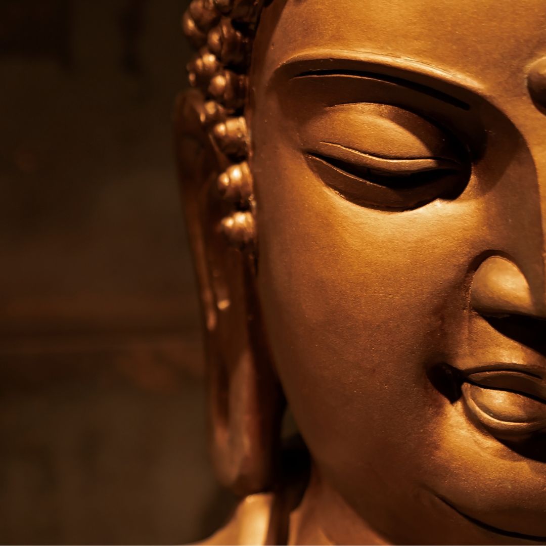 518286266_1262341331922891_4694453773232255551_n