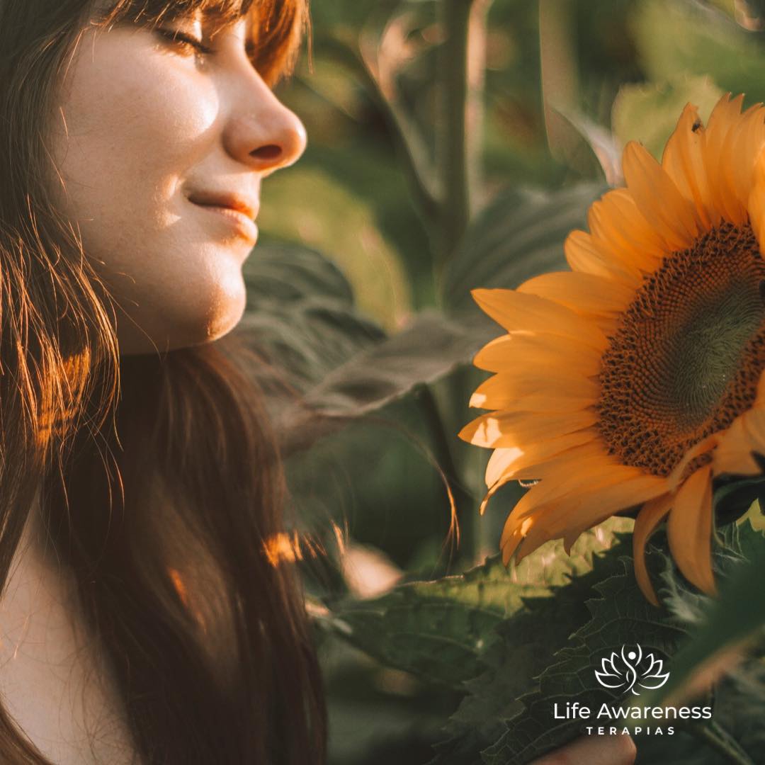 518286266_1262341331922891_4694453773232255551_n