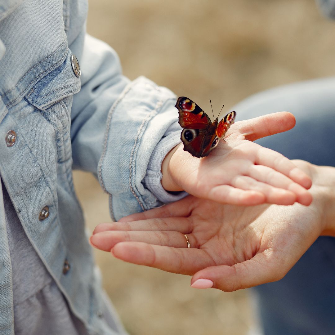 518286266_1262341331922891_4694453773232255551_n