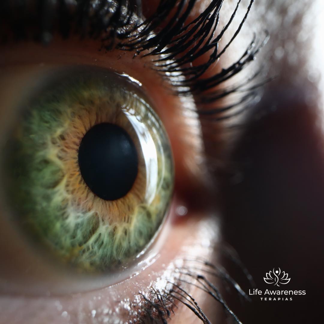 518286266_1262341331922891_4694453773232255551_n