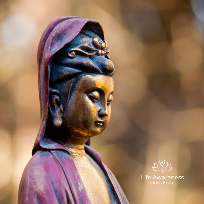 518286266_1262341331922891_4694453773232255551_n