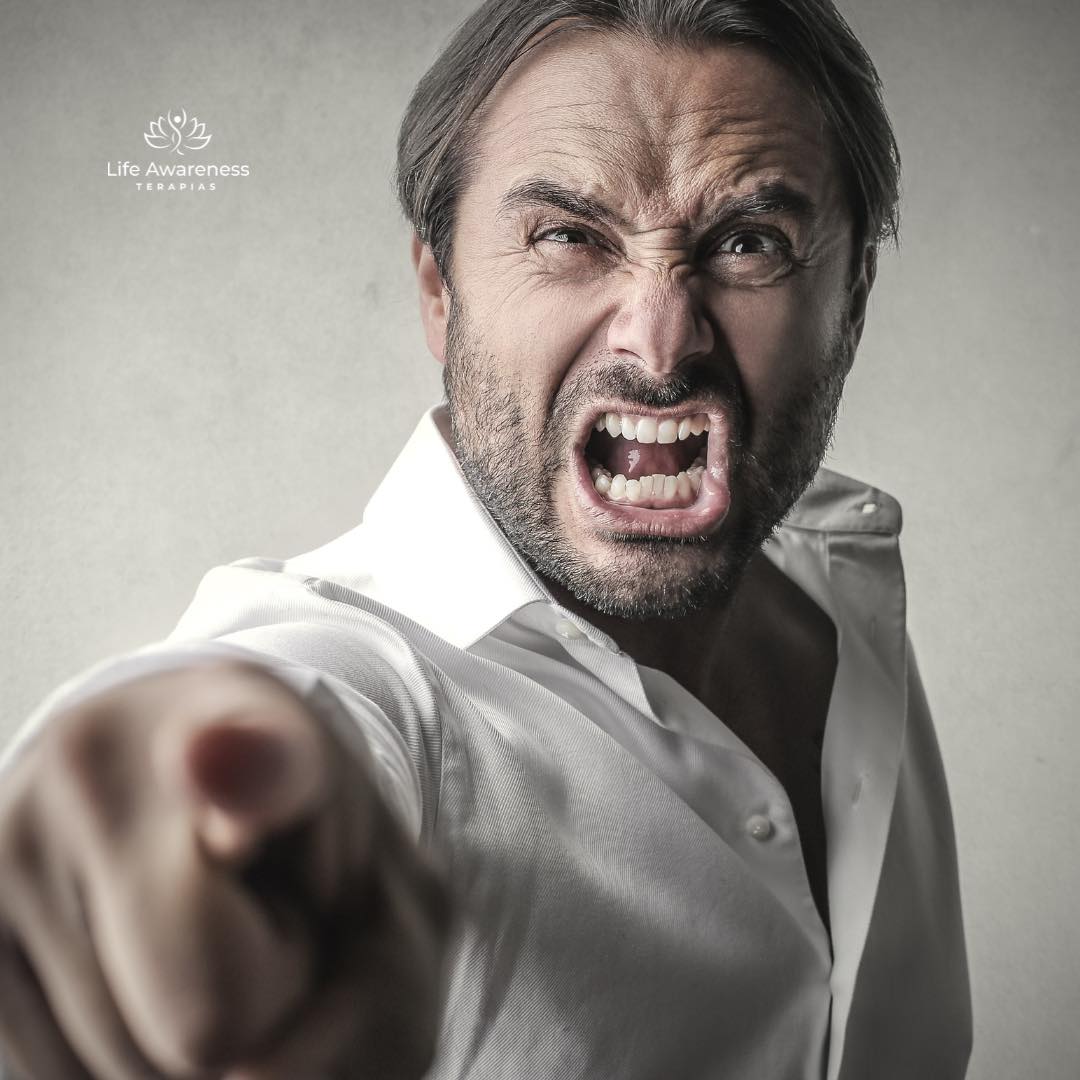 518286266_1262341331922891_4694453773232255551_n