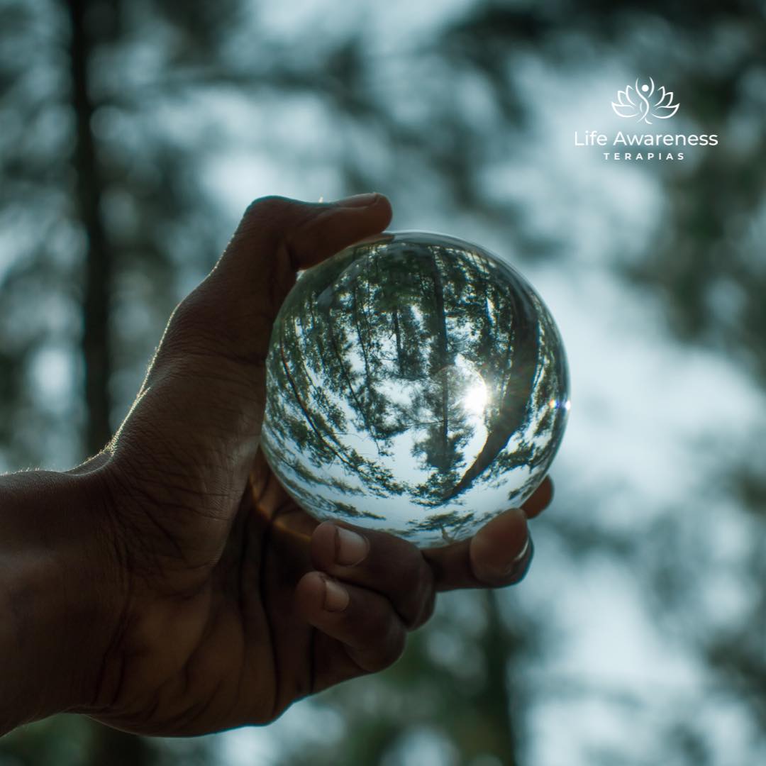 518286266_1262341331922891_4694453773232255551_n