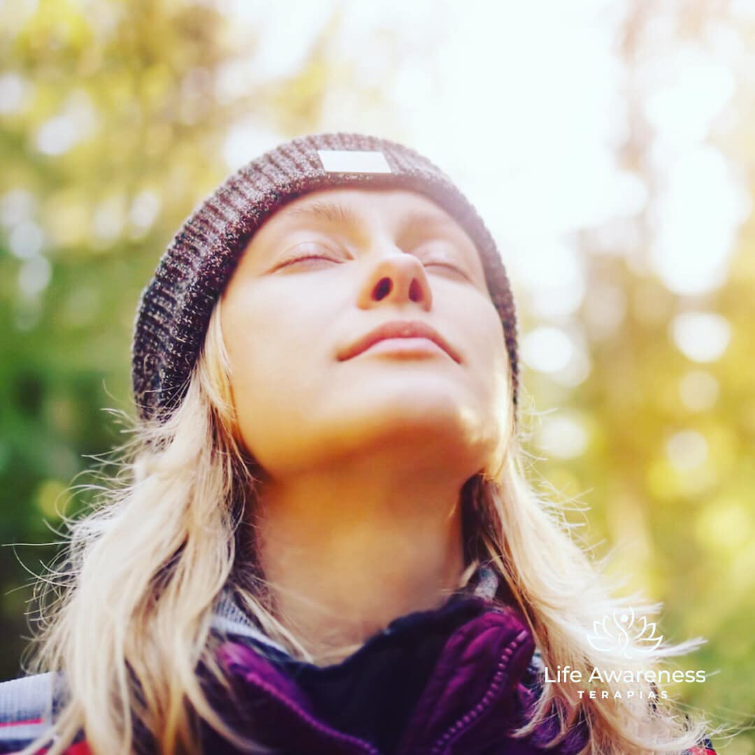 518286266_1262341331922891_4694453773232255551_n