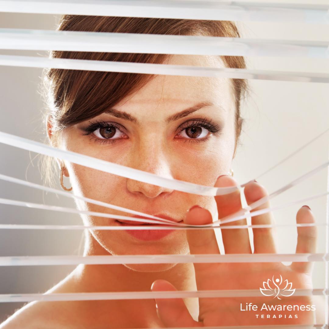 518286266_1262341331922891_4694453773232255551_n