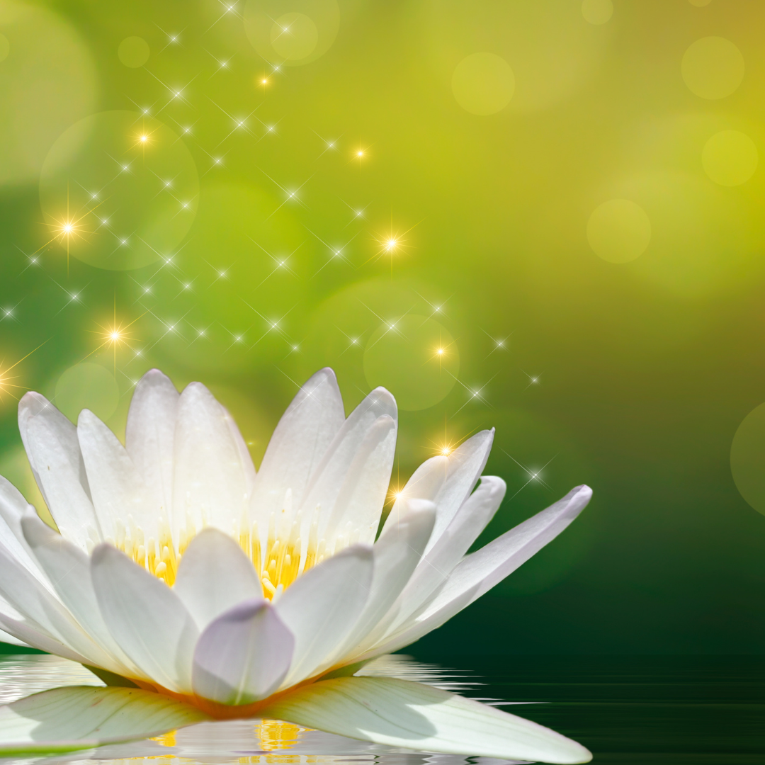 518286266_1262341331922891_4694453773232255551_n