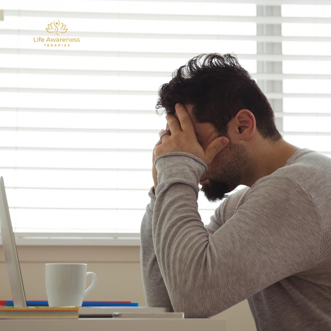 518286266_1262341331922891_4694453773232255551_n