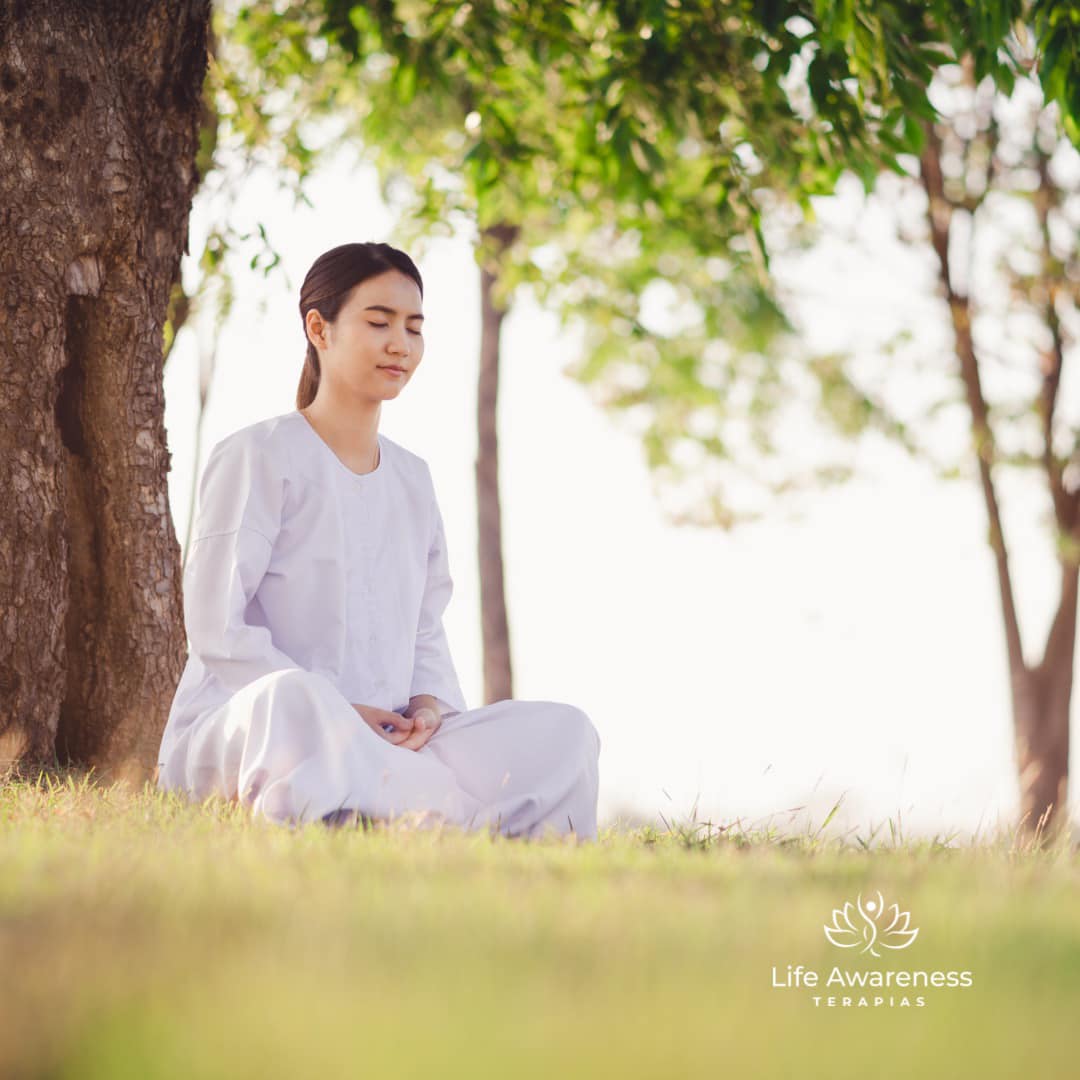 518286266_1262341331922891_4694453773232255551_n