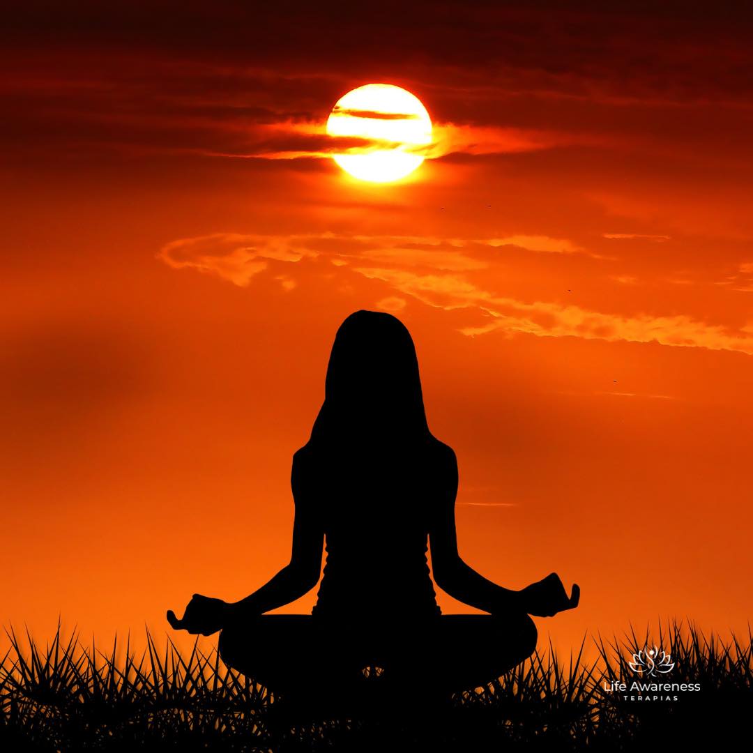 518286266_1262341331922891_4694453773232255551_n