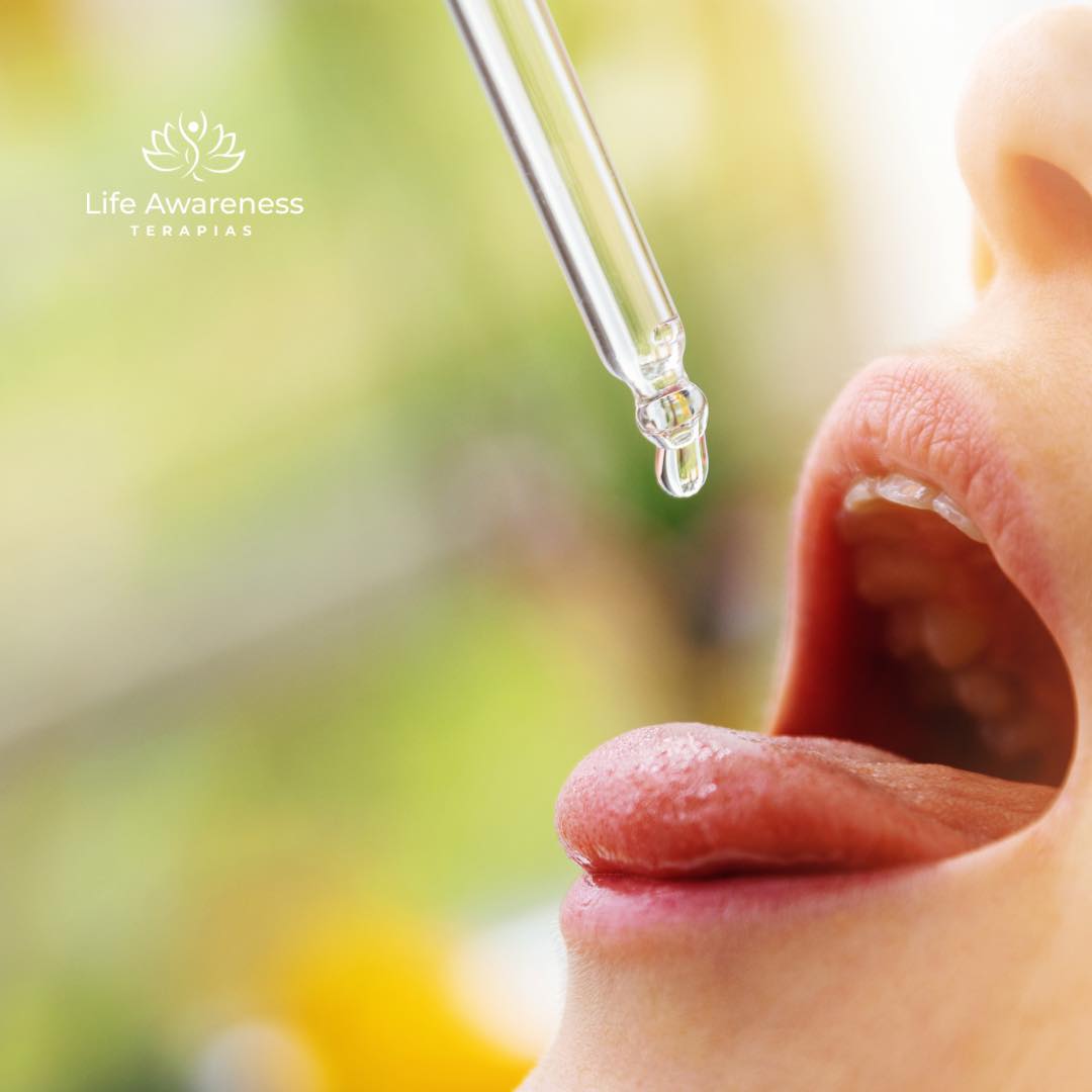 518286266_1262341331922891_4694453773232255551_n