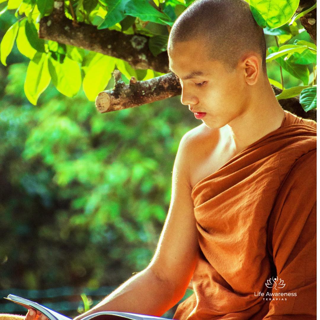 518286266_1262341331922891_4694453773232255551_n