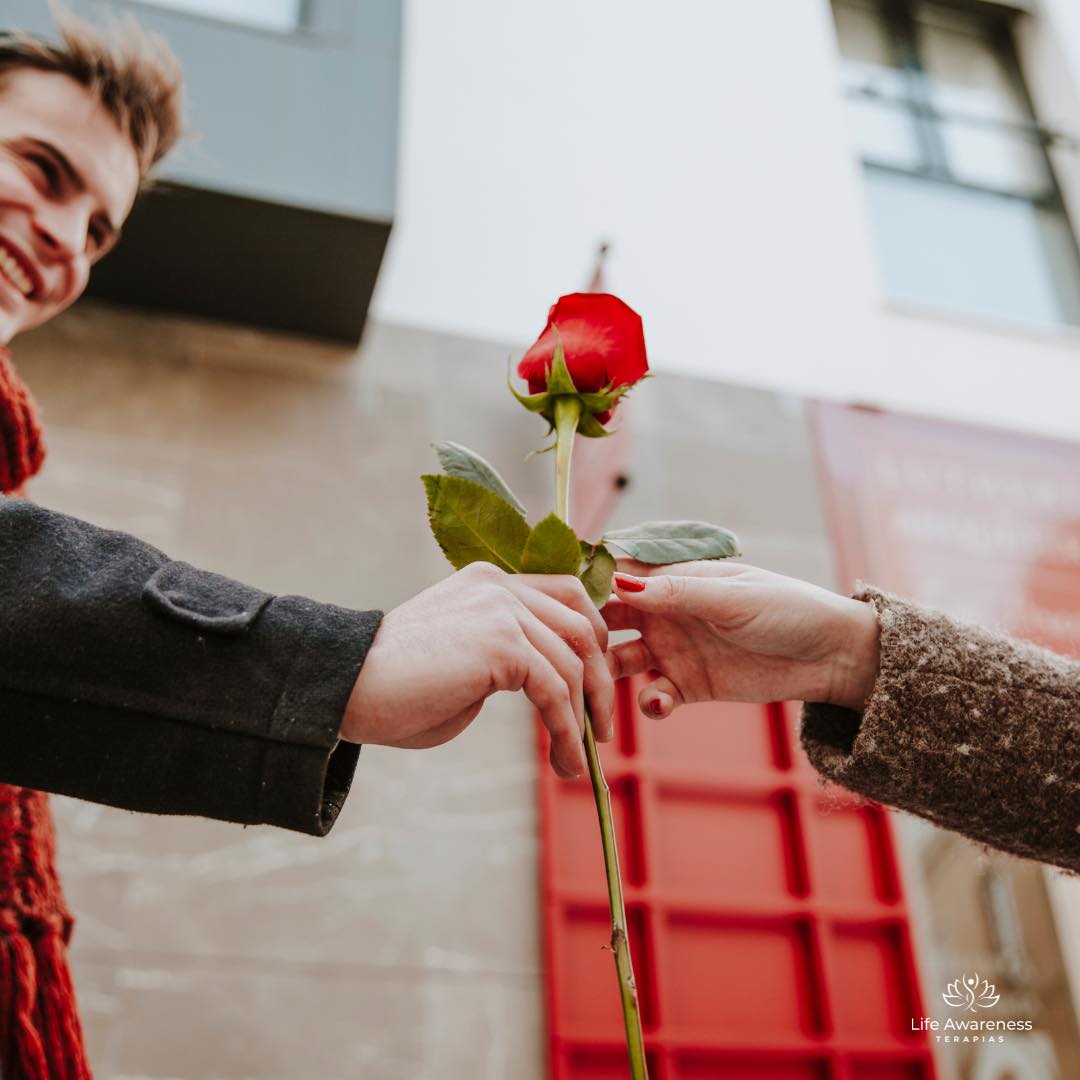 518286266_1262341331922891_4694453773232255551_n