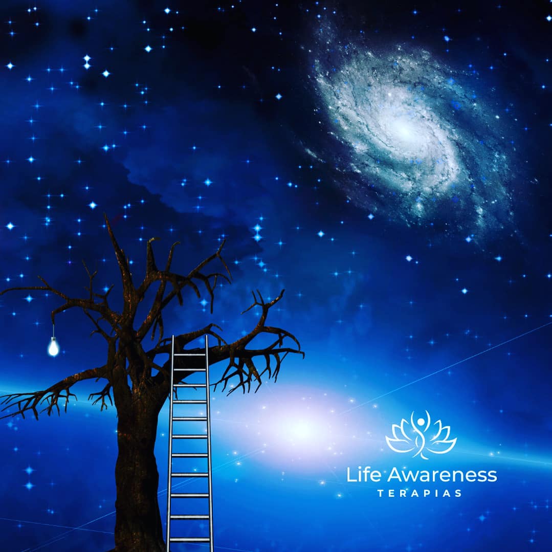 518286266_1262341331922891_4694453773232255551_n