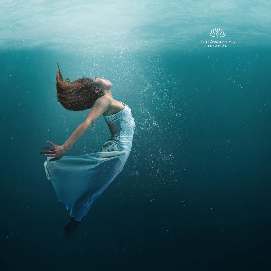 518286266_1262341331922891_4694453773232255551_n