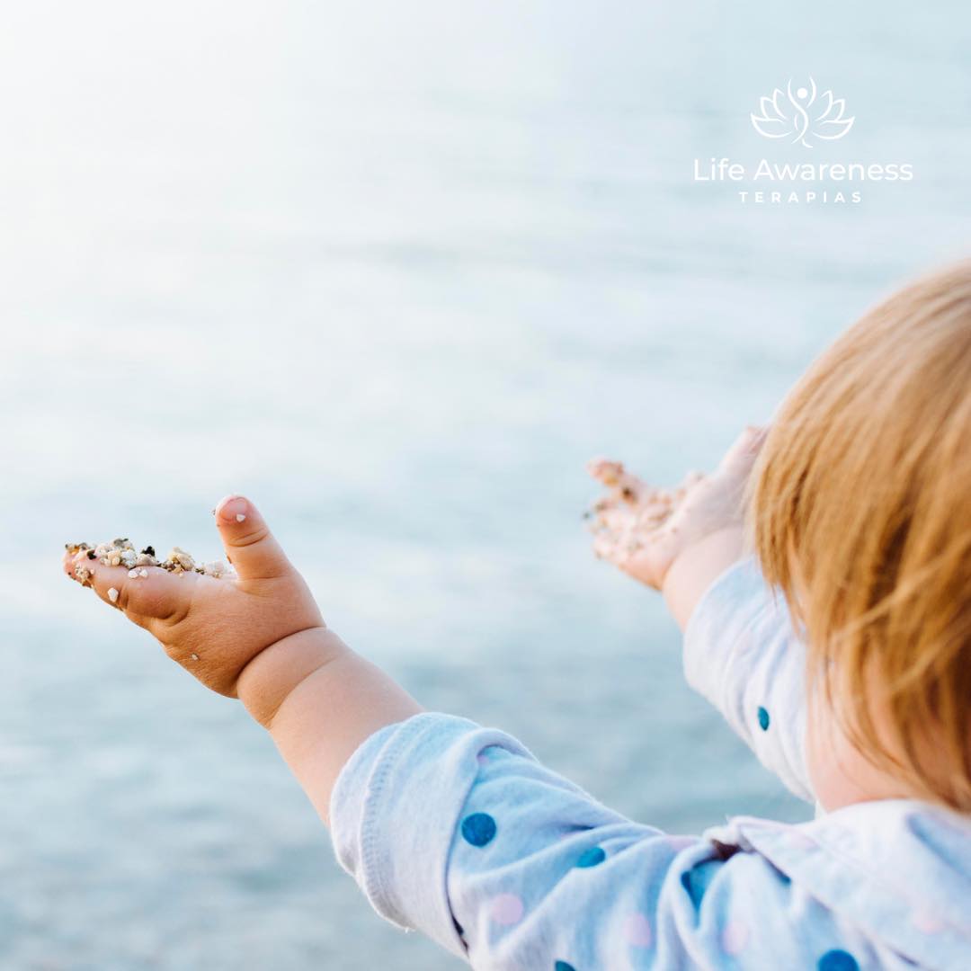 518286266_1262341331922891_4694453773232255551_n