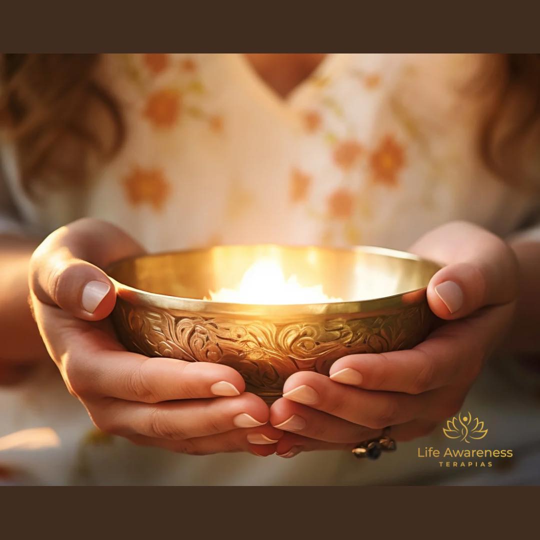 518286266_1262341331922891_4694453773232255551_n