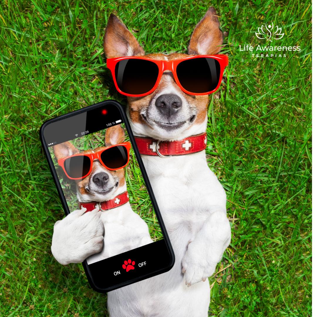 518286266_1262341331922891_4694453773232255551_n