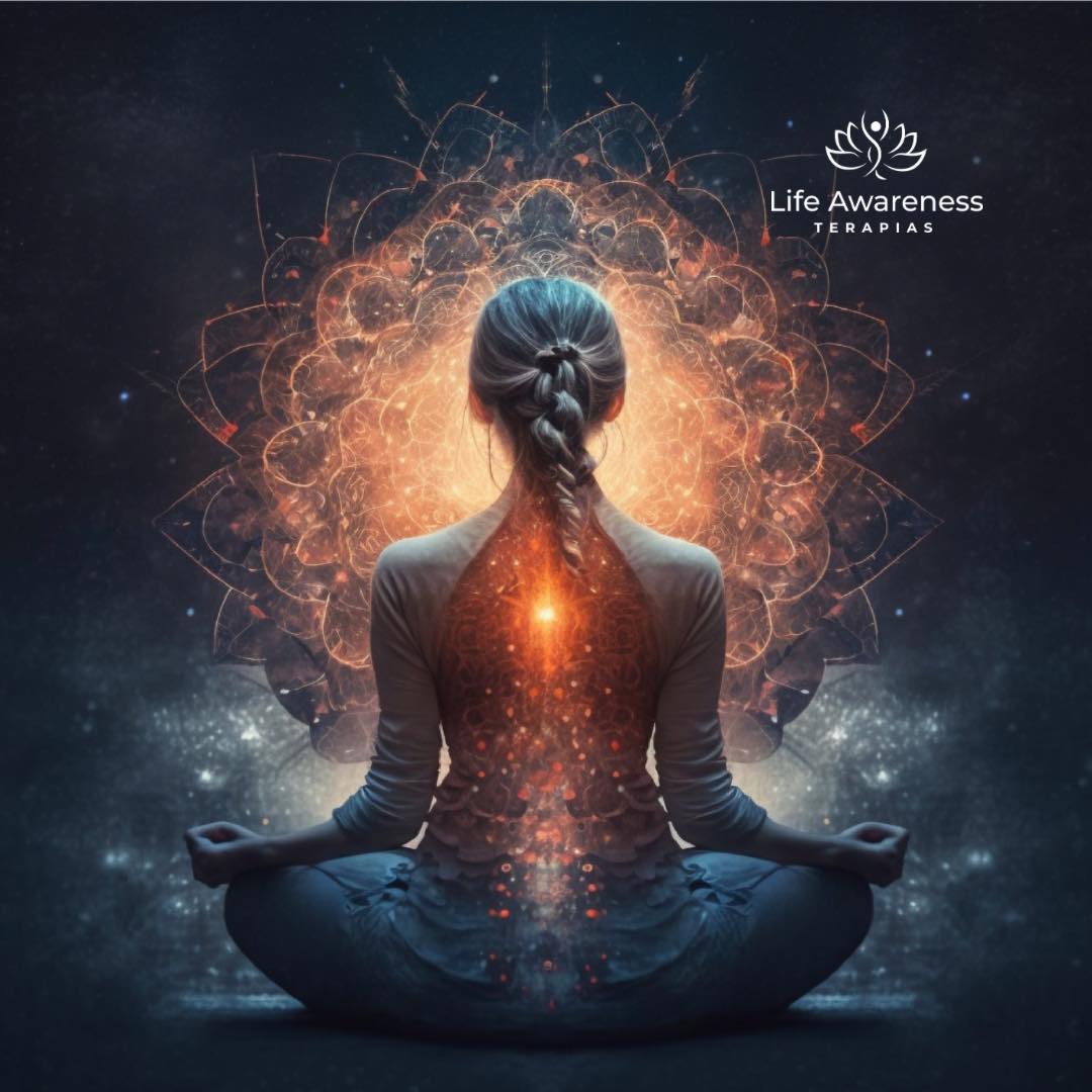 518286266_1262341331922891_4694453773232255551_n