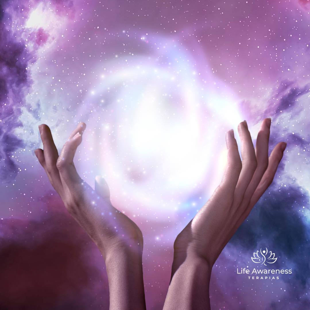 518286266_1262341331922891_4694453773232255551_n