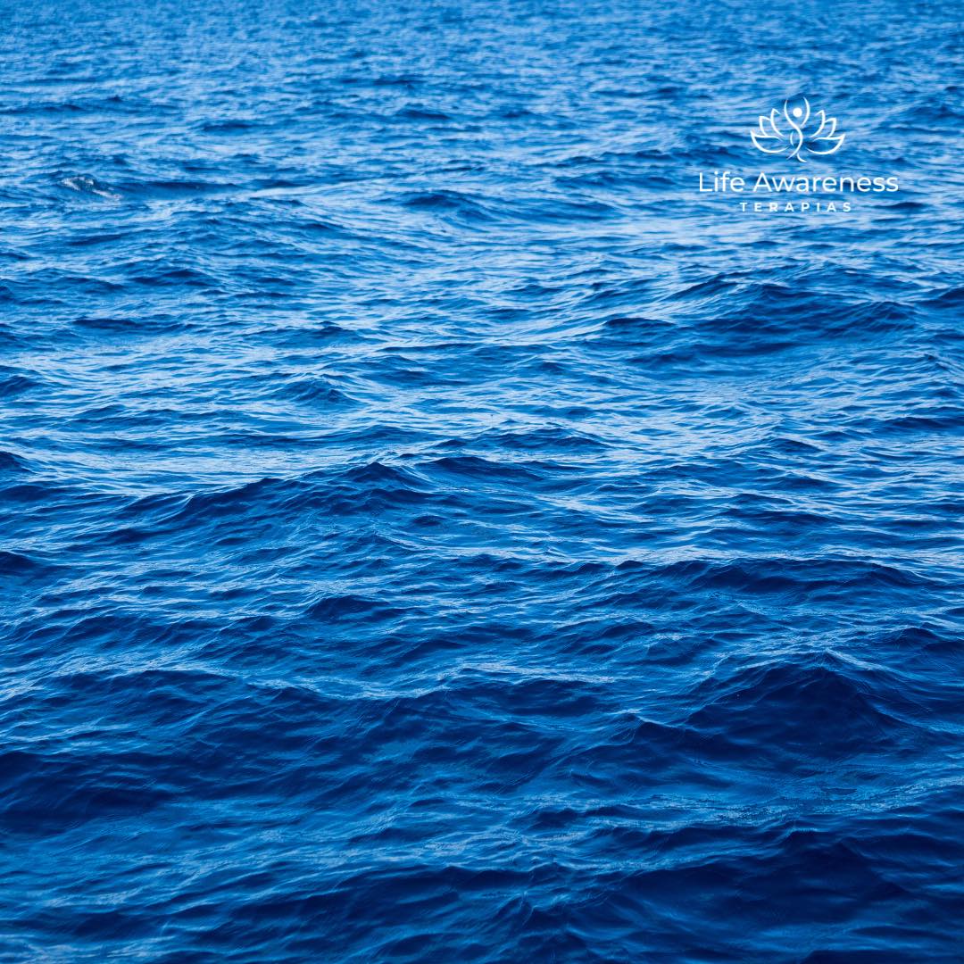 518286266_1262341331922891_4694453773232255551_n