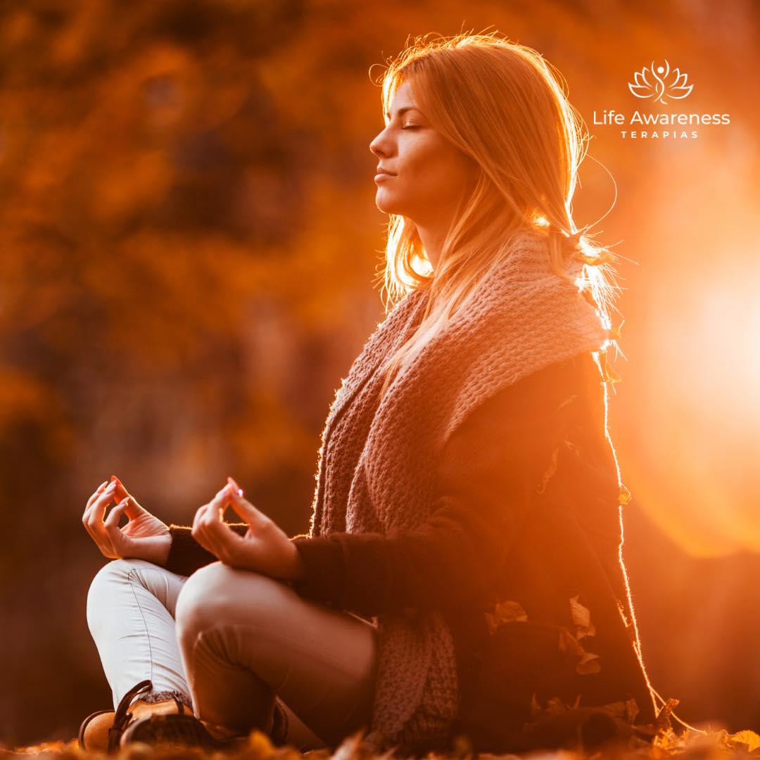 518286266_1262341331922891_4694453773232255551_n