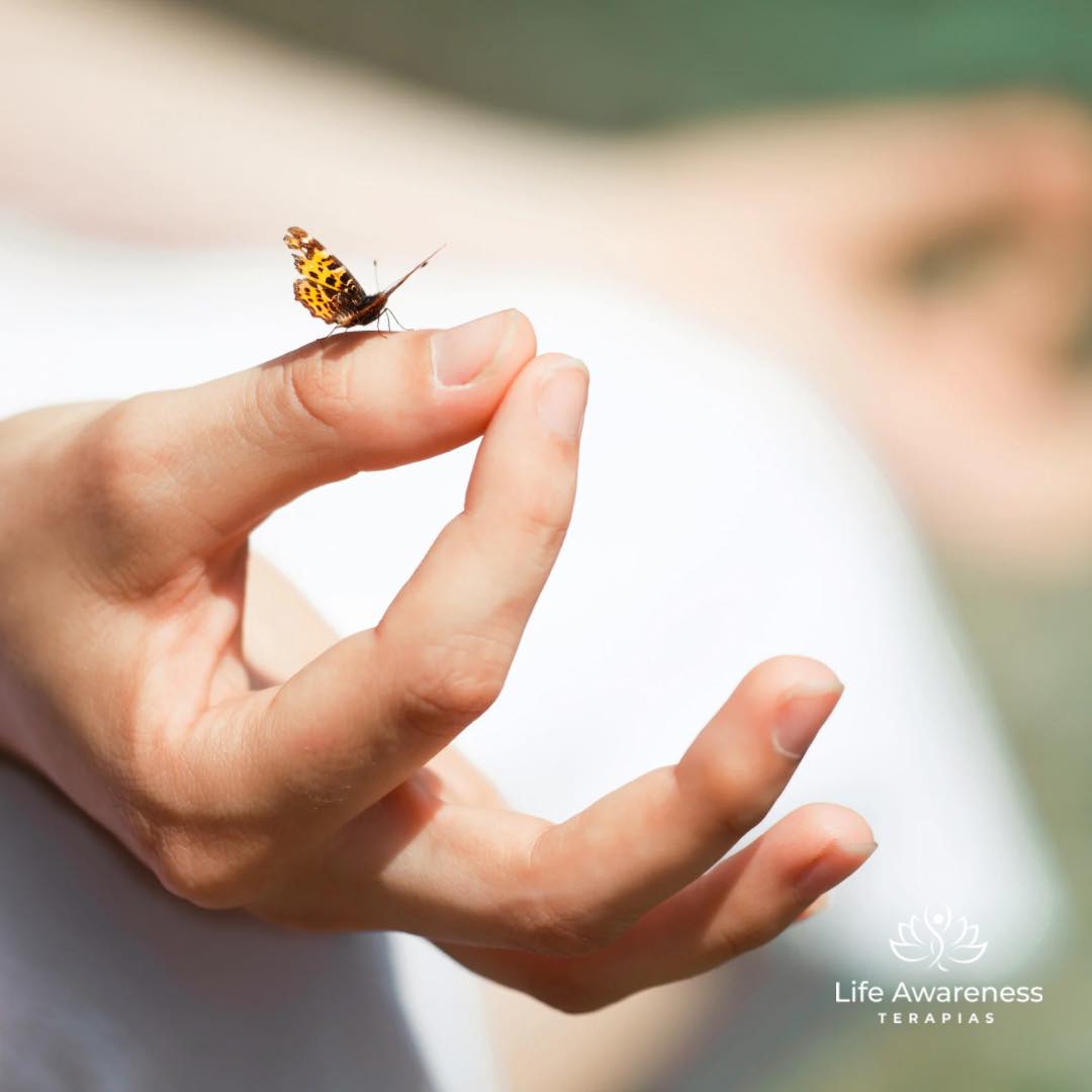 518286266_1262341331922891_4694453773232255551_n