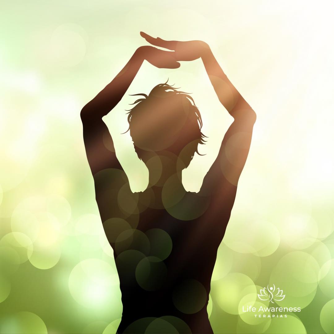 518286266_1262341331922891_4694453773232255551_n