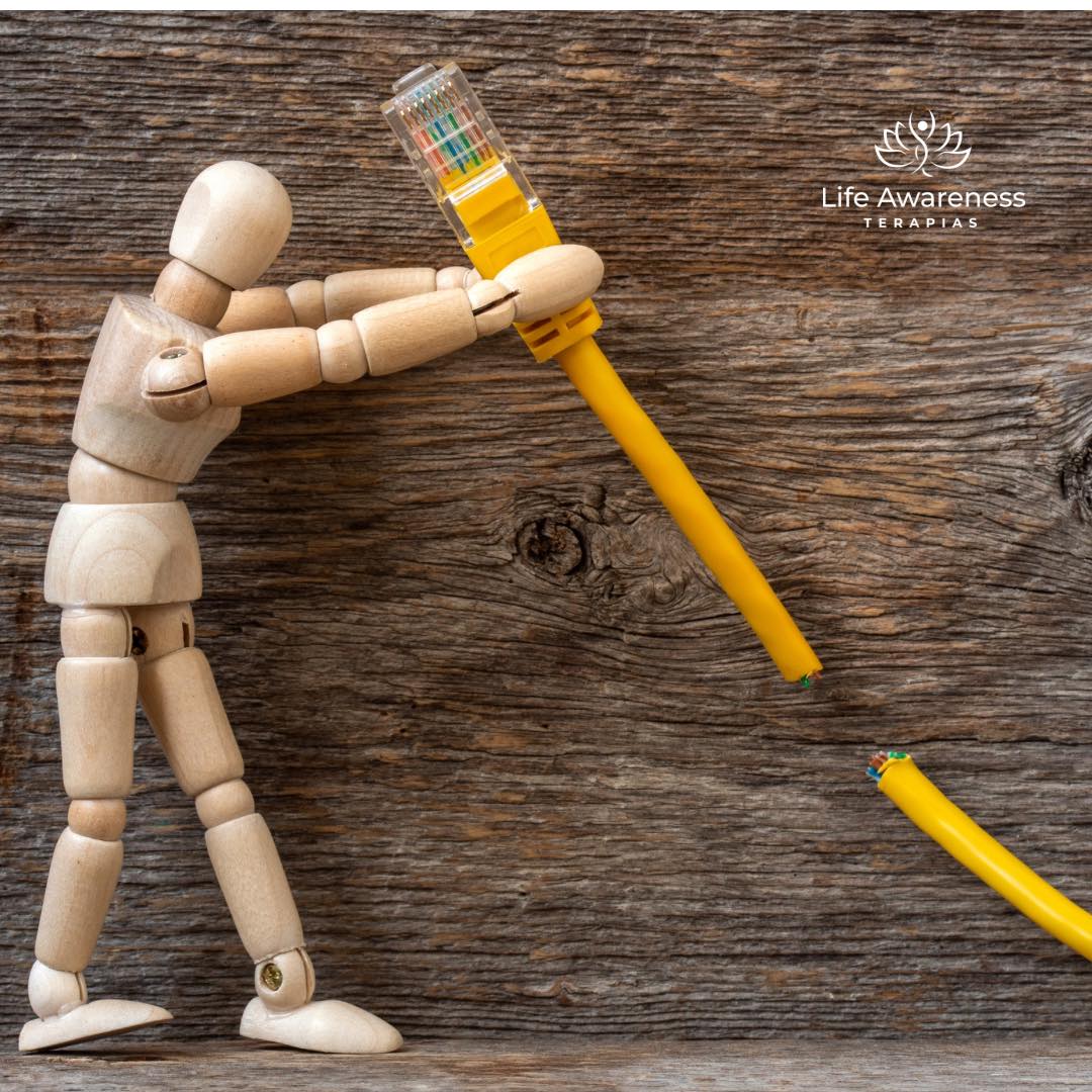 518286266_1262341331922891_4694453773232255551_n