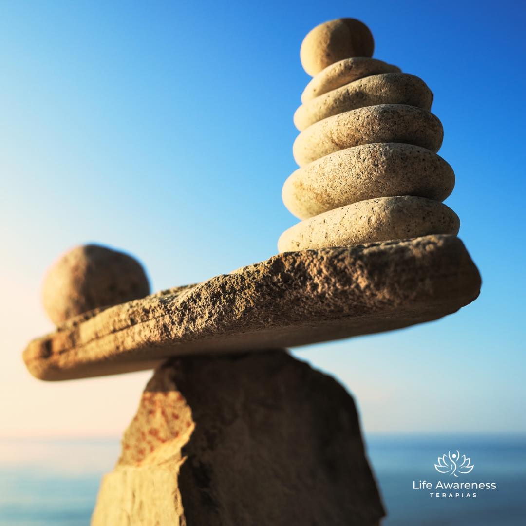 518286266_1262341331922891_4694453773232255551_n